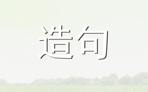 专家