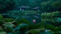 杭州06月28日天气 杭州明天天气 杭州天气预报一周 杭州天气预报15天查询结果