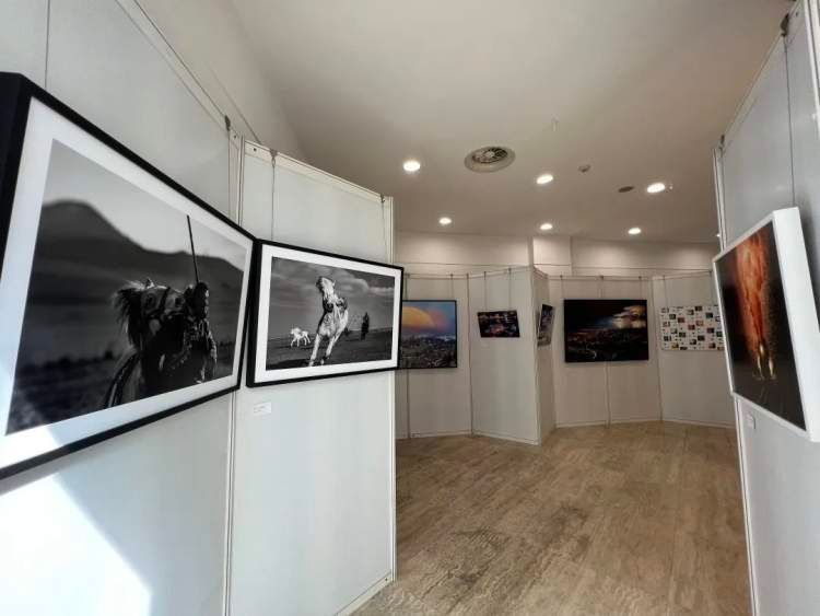 用光影联结多彩世界！上海国际摄影艺术展览巡展进社区