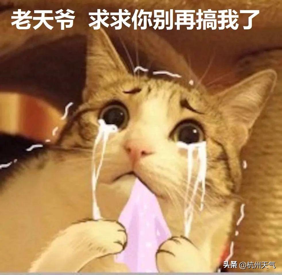 比下雨更可怕的，是一直下雨，你期待的阳光竟然要等到……