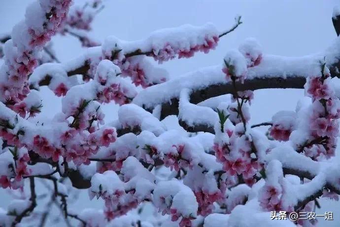 天气预报：明日18号，暴雪暴雨中心范围确认，今年冷春？农谚咋说