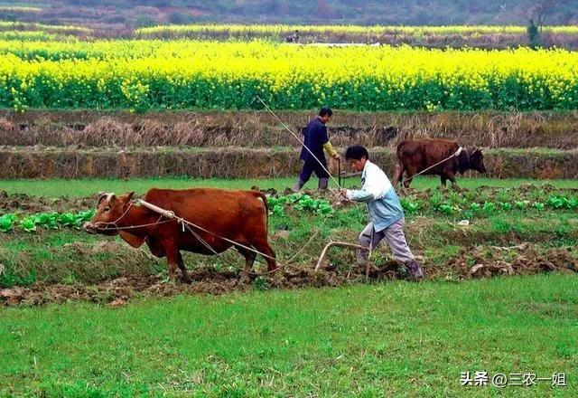 天气预报：4月1~5号，今年最大范围雨雪确认，冷春要到？农谚咋说