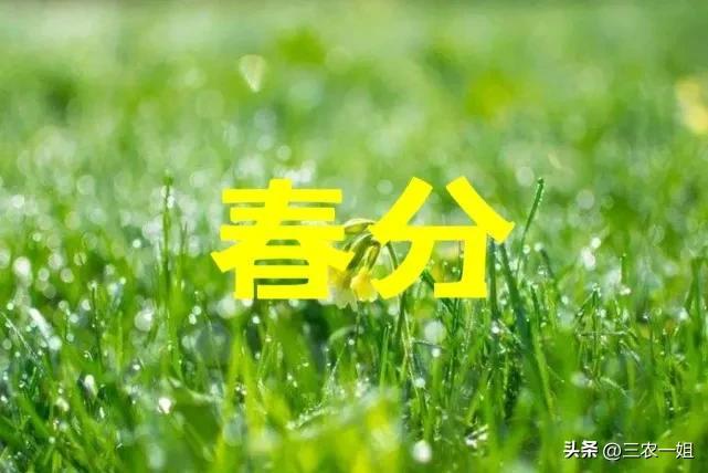 天气预报：4月1~5号，今年最大范围雨雪确认，冷春要到？农谚咋说