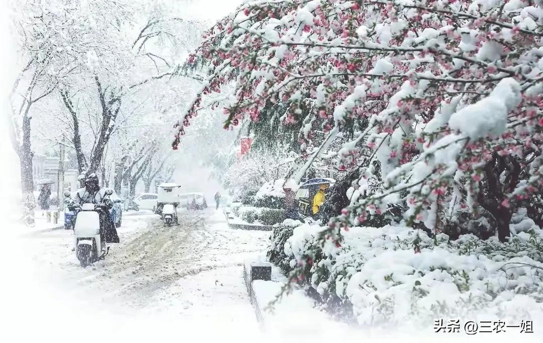 天气预报：4月1~5号，今年最大范围雨雪确认，冷春要到？农谚咋说