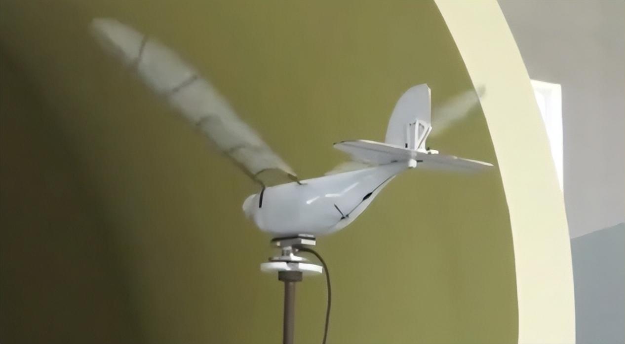 西工大造出仿生黑科技，扑翼无人机能飞2小时，假蝠鲼可潜1000米