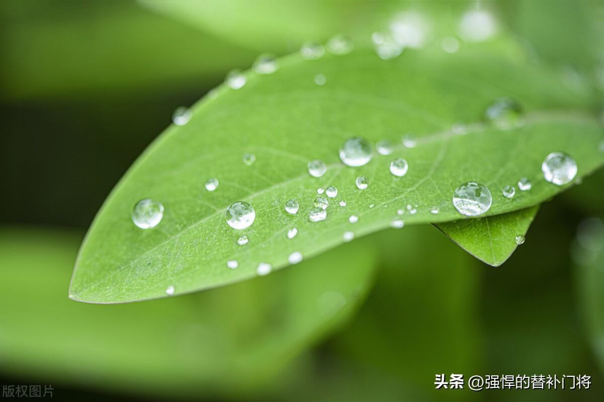谷雨节气之后，天气通常会有什么变化？蚂蚁庄园今日答案