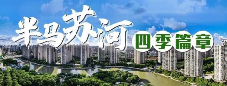 家门口的“诗与远方”，普陀这里有片“空中城市露营地”