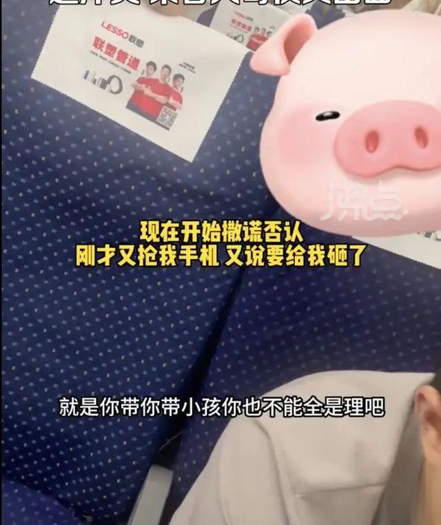 女子曝高铁上被熊孩子妈妈辱骂掌掴，警方介入