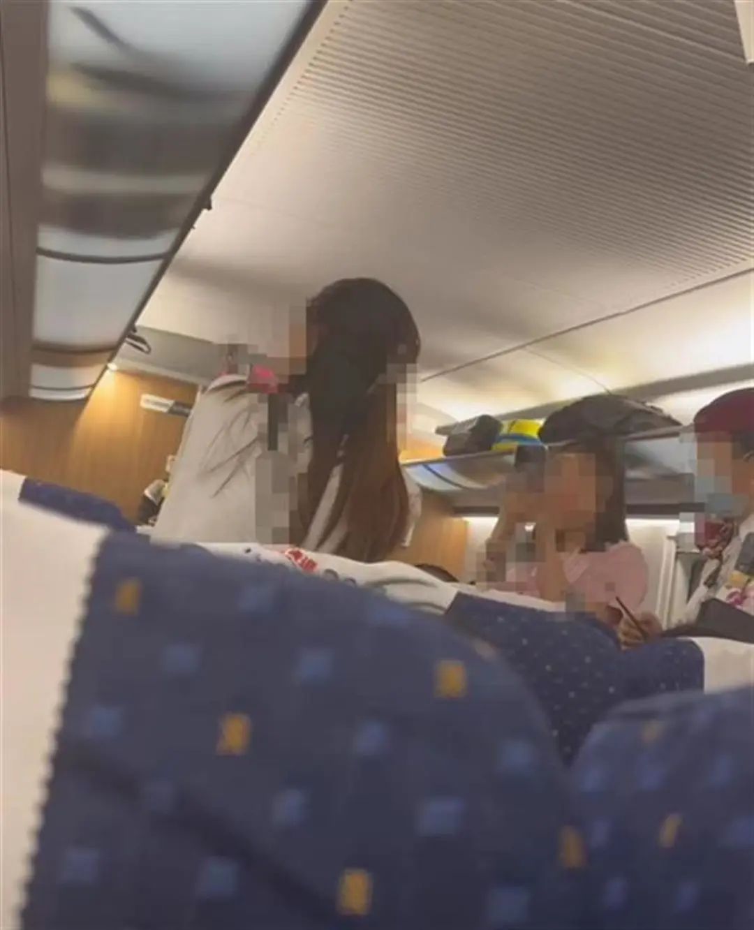 女子曝高铁上被熊孩子妈妈辱骂掌掴，警方介入